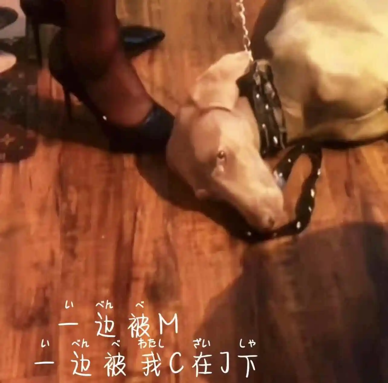 [西檬之家] BDSM 初学者指南：理解 BDT 字母圈术语与核心关系模式