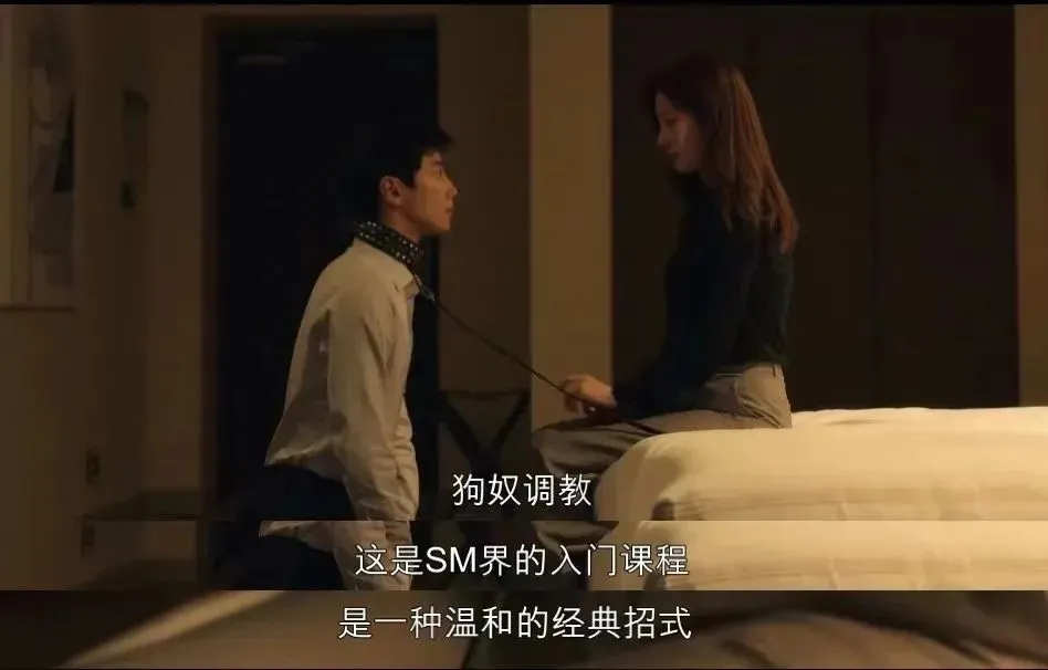 西檬之家-BDSM是什么？字母圈新人入圈权威指南