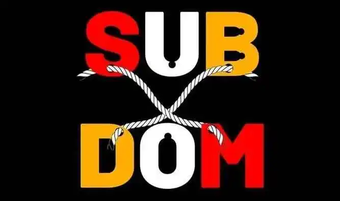 【西檬之家】BDSM字母圈的DOM是什么意思？