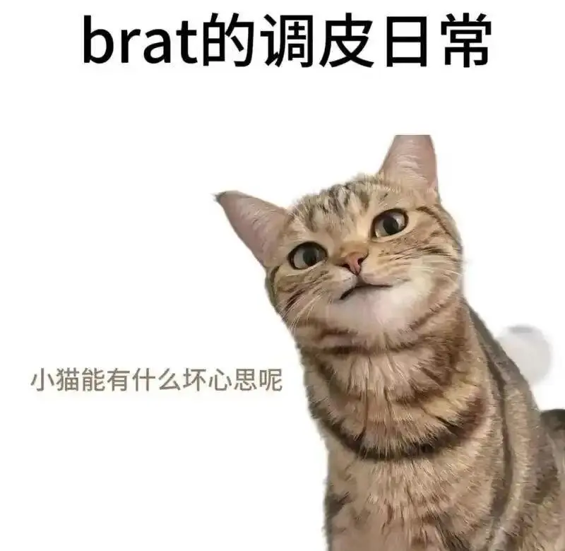 西檬之家-字母圈践踏癖新人指南
