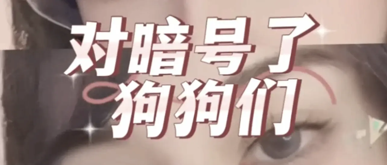 【西檬之家】字母圈的Aftercare：BDSM实践中的情感缓冲与安全闭环