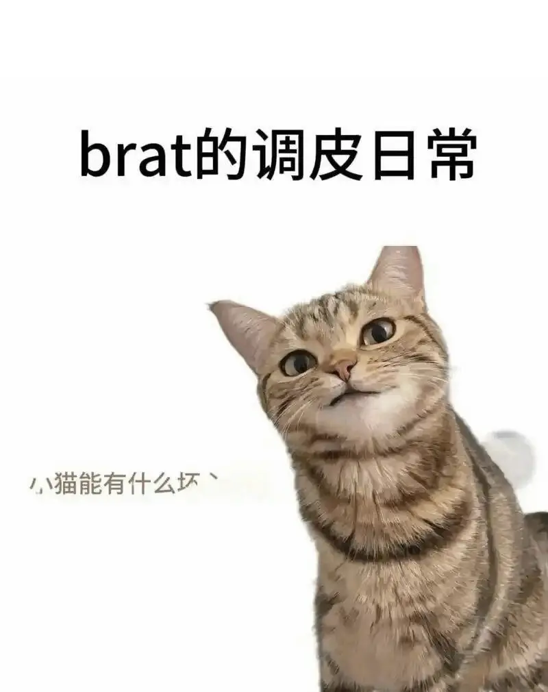 西檬之家-字母圈新人入圈指南：从圣水到SSC原则