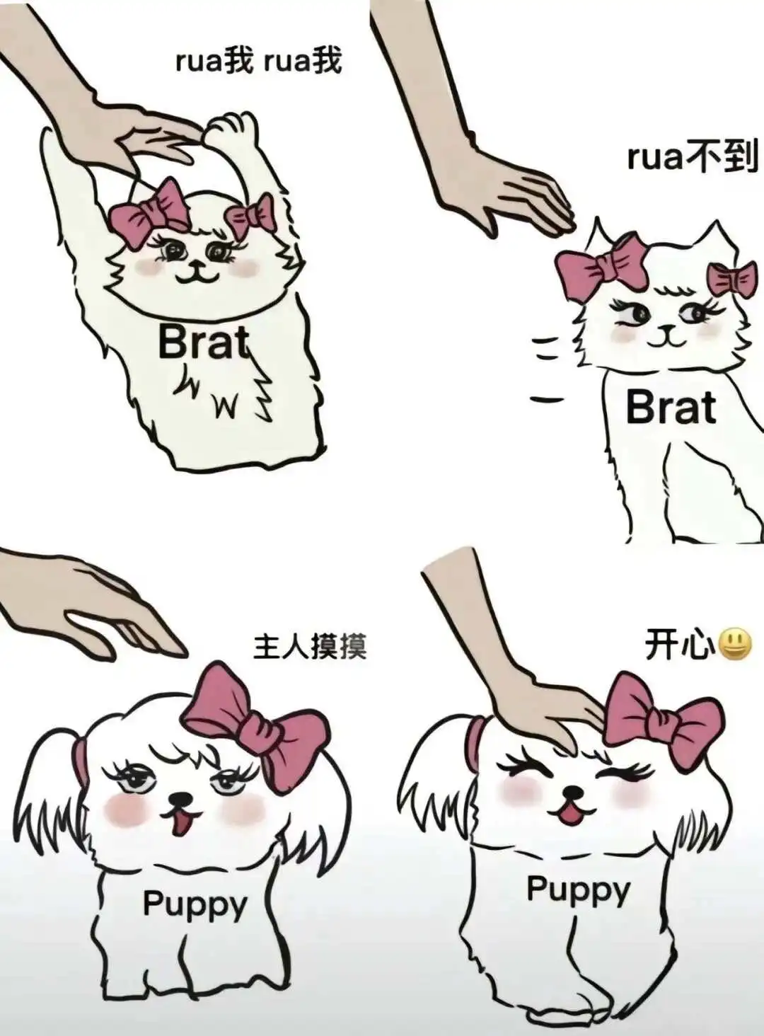【西檬之家】字母圈K8猫系角色全解析：如何建立信任与边界