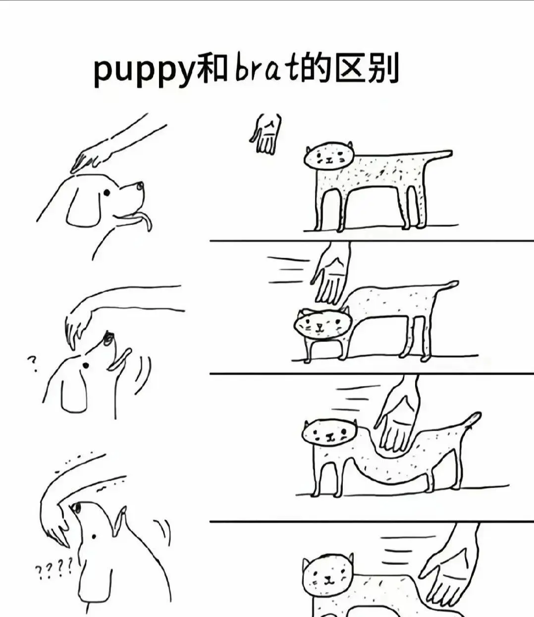 【西檬之家】DS关系解析：字母圈新人如何理解支配与臣服