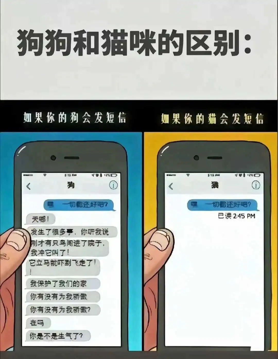 西檬之家-BDSM中的Sub是什么意思？