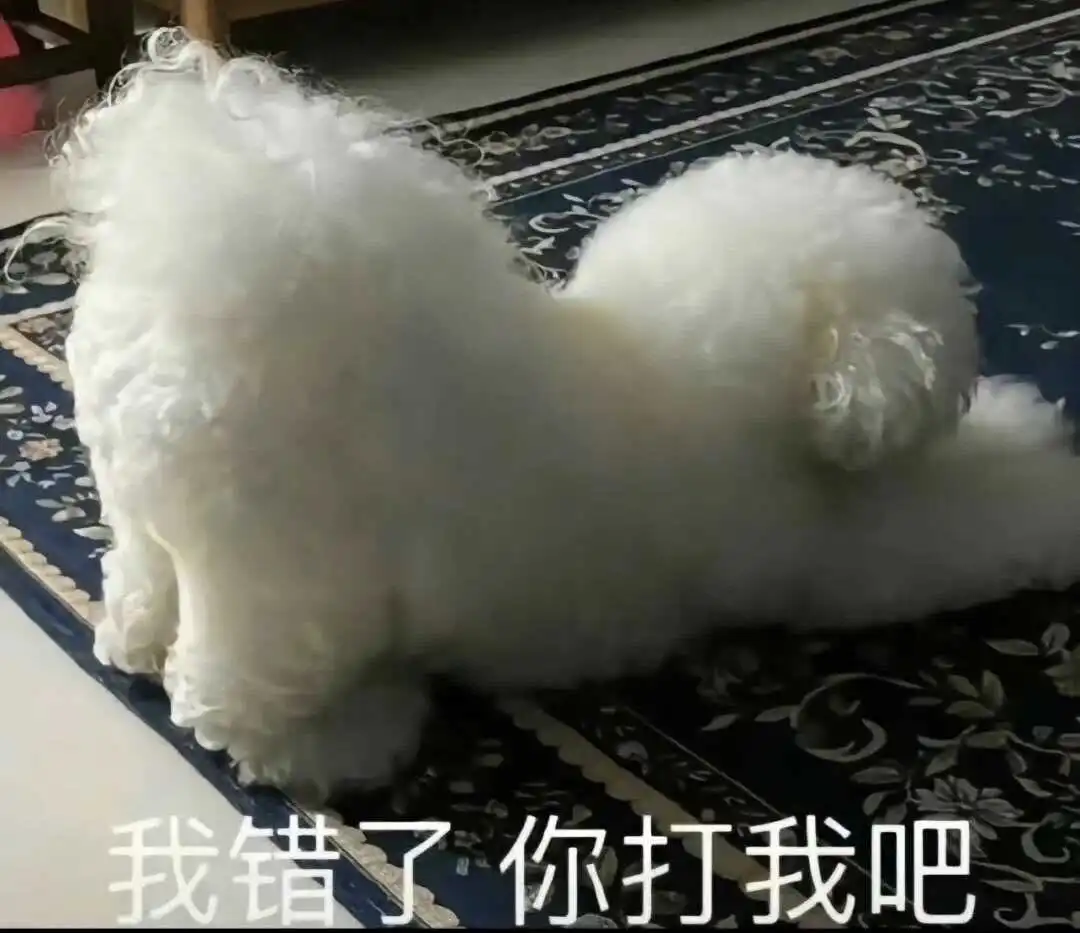 【西檬之家】大圈是什么？BDSM新人入圈全景解析